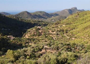 Mallorcas Küstenstrasse Ma 10 von Pollensa nach Andratx