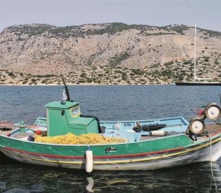 Fangquoten Mallorca- Wird Fisch bald teurer