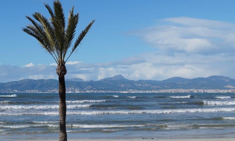 Palma de Mallorca im Winter.