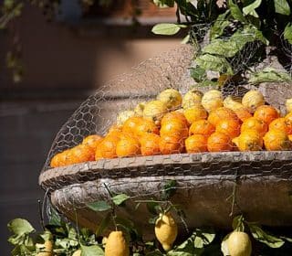 Orangenfest in Sóller auf Mallorca.