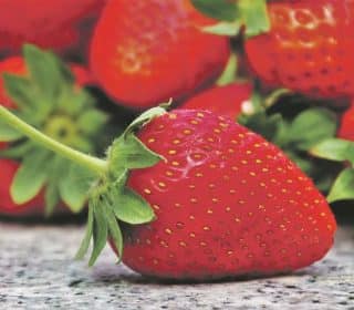 Erdbeeren sind super gesund