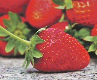 Erdbeeren sind super gesund
