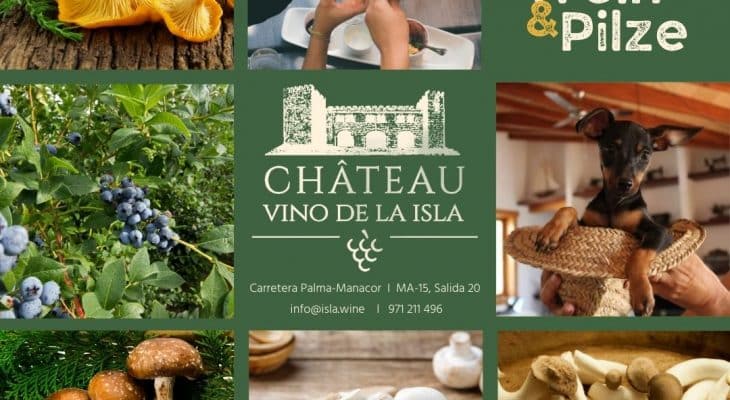 Event im Château VINO DE LA ISLA: Wein und Pilze im Mittelpunkt