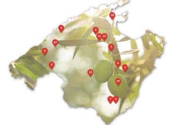 Karte Mallorcas Olivenöl Produzenten
