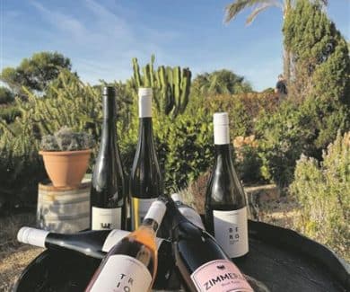 Gourmet-Weinprobe am Meer: Mirador de Cabrera mit Zimmerle