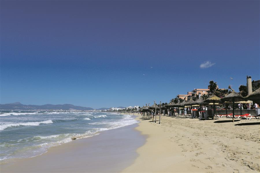Initiative Palma Beach kritisiert ungewöhnlich scharf die Zustände an der Playa de Palma